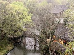 -西溪国家湿地公园