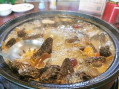 -蘑统田下·野生菌火锅