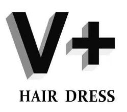 -V+SALON造型