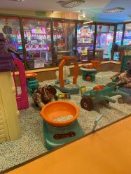 -莫莉幻想儿童乐园(绍兴金帝银泰城店)