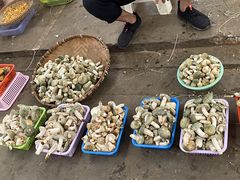 -云南木水花野生菌交易中心