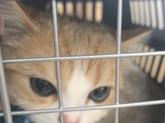 -宠颐生汉谟拉比宠物医院