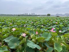 -云龙湖旅游景区