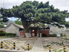 -阳台山自然风景区