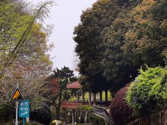 -上海市保健医疗中心