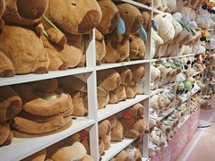-龙湖南京河西天街