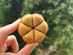 -稻香村(文殊院旗舰店)