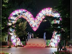 -长白岛森林公园