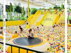 -南宫五洲植物乐园