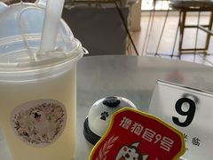 -Husky Go! 哈士奇体验馆·宠物咖啡厅狗咖