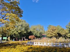 -丰台花园