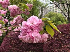 -苏州河梦清园环保主题公园