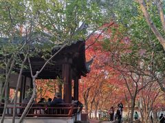 -秋霞圃