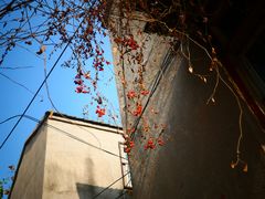 -回龙窝历史文化街区