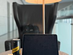 -虹桥机场国航贵宾室v8