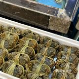 别问了，来顺德肯定来这家私房菜😋