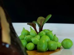 -广州柏悦酒店·悦景轩·粤菜餐厅