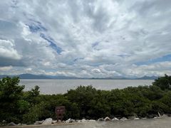 -深圳湾公园(南山区)