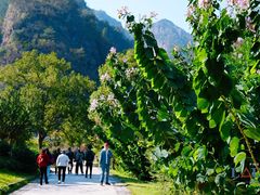 -楠溪江风景名胜区