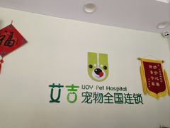 -艾吉宠物医院·疑难杂症转诊中心·猫友好(碧江路院)