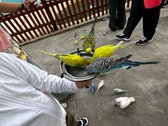 -横道河子东北虎林园