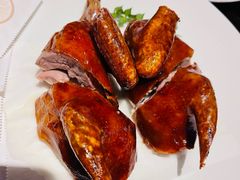 -甄御•海鲜新青岛菜(麦岛店)