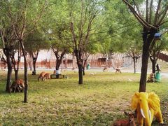 -北京鹿世界主题园