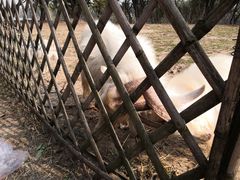 -长兴太湖图影湿地文化园