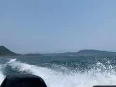 -杨梅坑