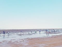 -刘家湾赶海园