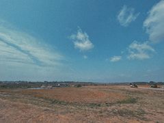 -空港花田景区