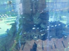 -鸿通城购物中心