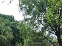 -贵阳市花溪国家城市湿地公园