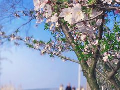 -幕燕滨江·燕子矶公园