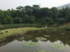 -无锡动物园·太湖欢乐园