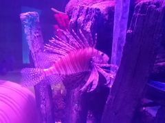 -沈阳海洋探索中心