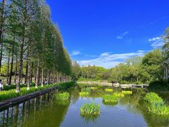 -圩墩遗址公园