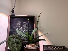 -本無咖啡·BeanWood Coffee