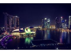 -新加坡丽思卡尔顿美年酒店