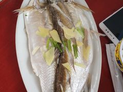 太湖白鱼-湖山人家·湖景餐厅·特色农家菜(太湖西山店)