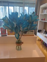 -ROYEA茹彦祛痘·问题肌肤修护中心