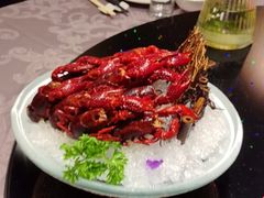 -洪福龙虾