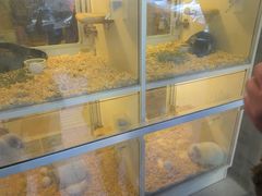 2014_0118_1615_24-龙猫仔乐园(惠福东路店)