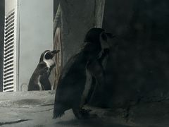 -武汉动物园