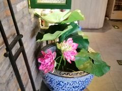 -茅炒屋龙虾·烧烤·湘菜(新河路店)