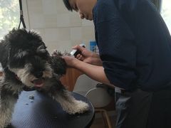 -宠福鑫动物医院·动物疾病诊疗中心(天通苑店)