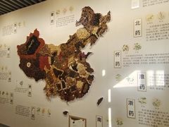 -北京中医药大学-中医药博物馆