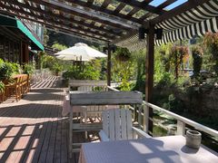 -Local泰莲庭(虹鳟鱼店)
