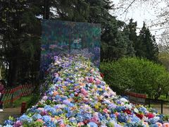 -上海共青森林公园