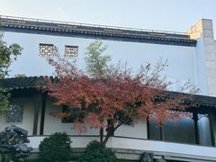 -秋霞圃